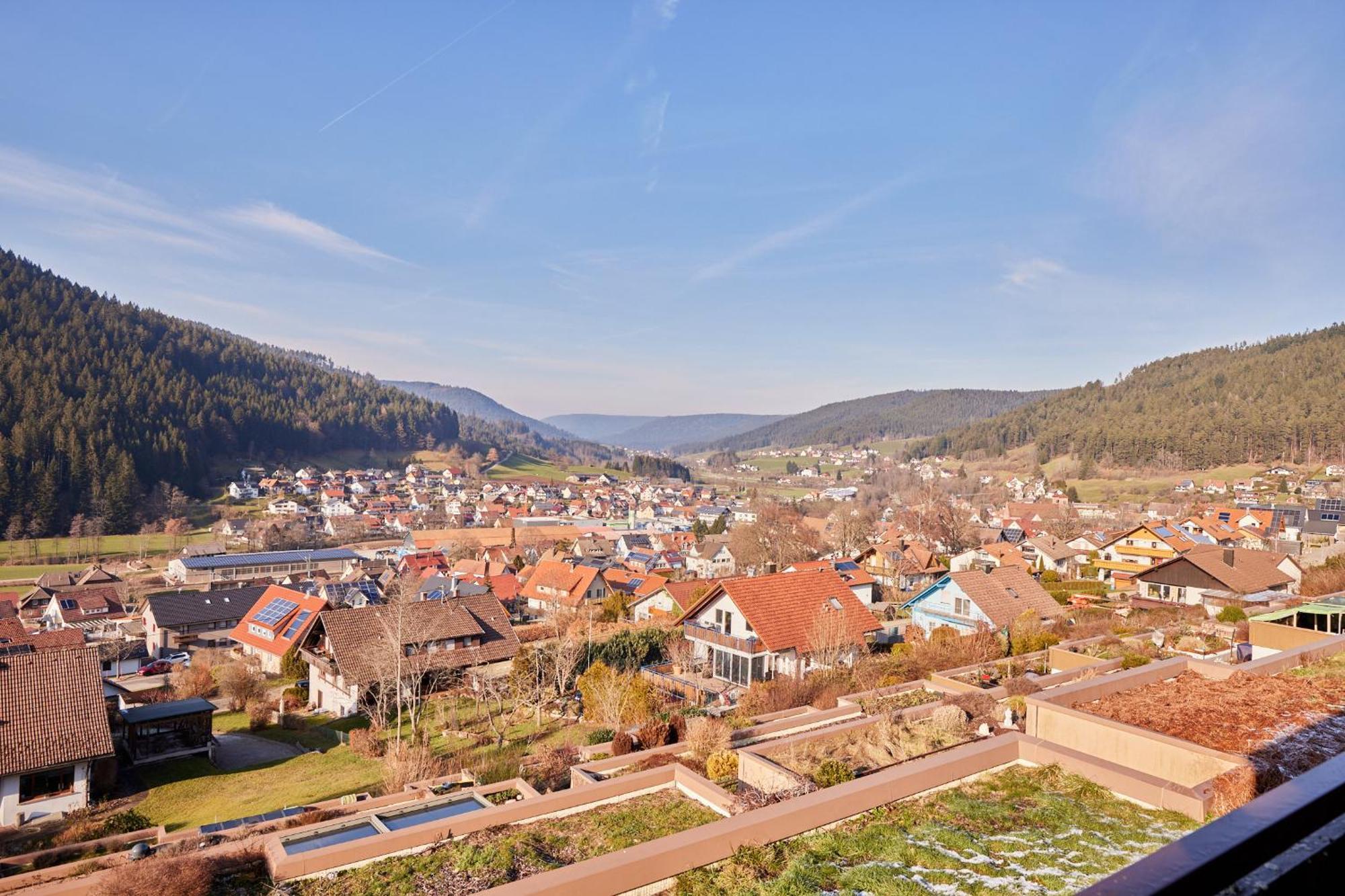 Baerbel, Im Schwarzwald-Stil Apartman Baiersbronn Kültér fotó